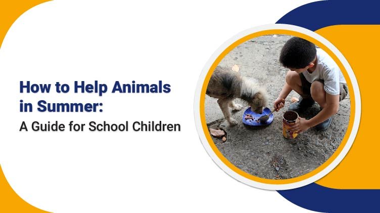 How to Help Animals in Summer: A Guide for School Children